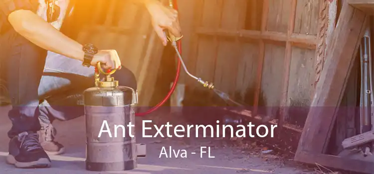 Ant Exterminator Alva - FL