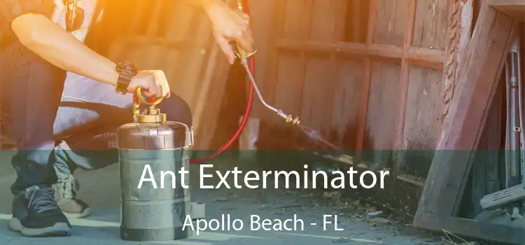 Ant Exterminator Apollo Beach - FL