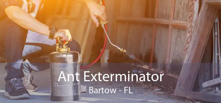 Ant Exterminator Bartow - FL