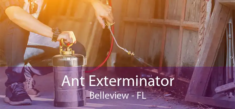 Ant Exterminator Belleview - FL