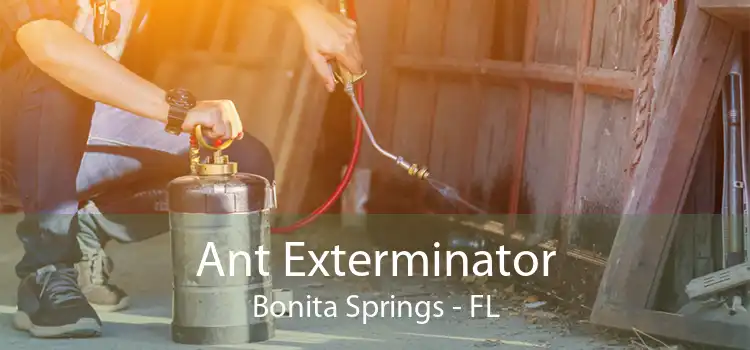 Ant Exterminator Bonita Springs - FL