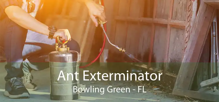 Ant Exterminator Bowling Green - FL