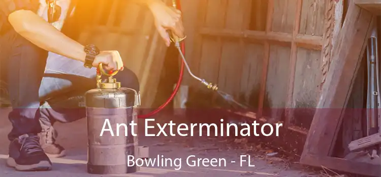 Ant Exterminator Bowling Green - FL