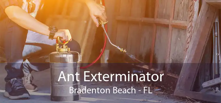 Ant Exterminator Bradenton Beach - FL
