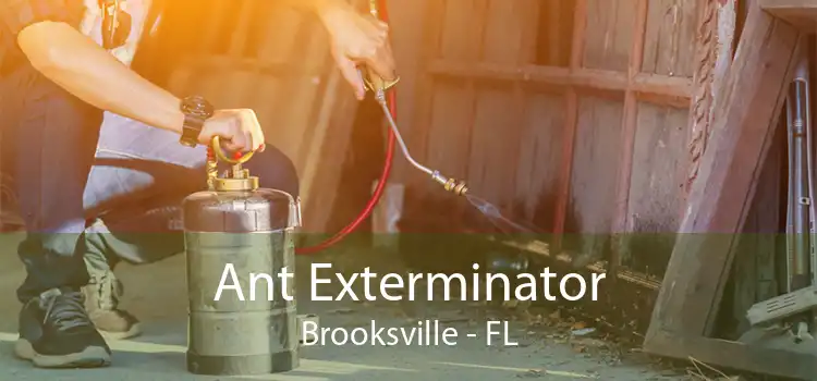 Ant Exterminator Brooksville - FL