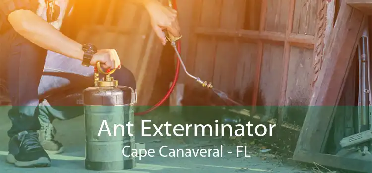 Ant Exterminator Cape Canaveral - FL