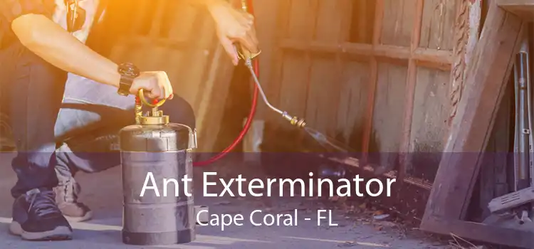 Ant Exterminator Cape Coral - FL