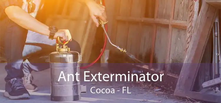 Ant Exterminator Cocoa - FL