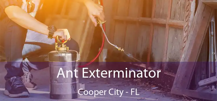 Ant Exterminator Cooper City - FL