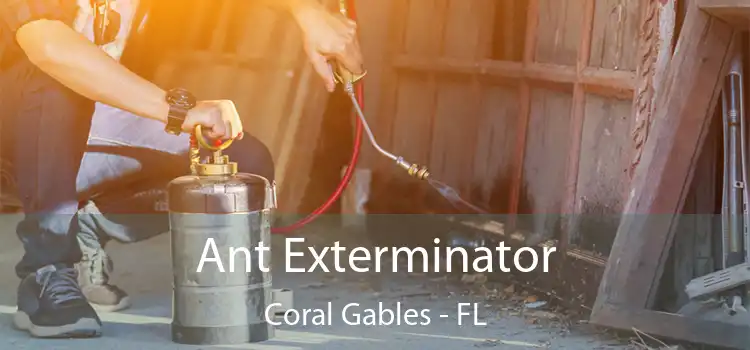 Ant Exterminator Coral Gables - FL