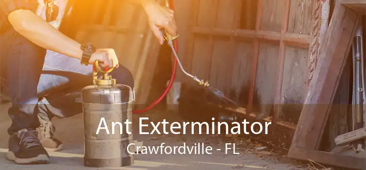 Ant Exterminator Crawfordville - FL