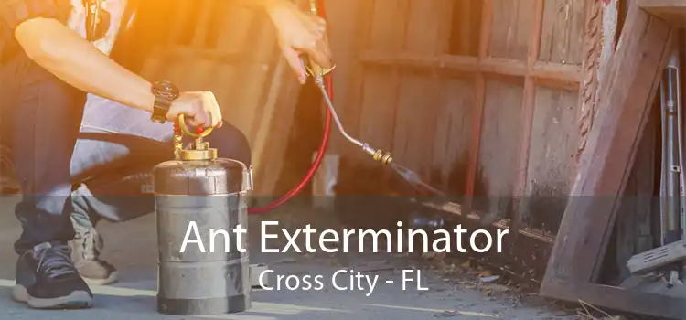Ant Exterminator Cross City - FL