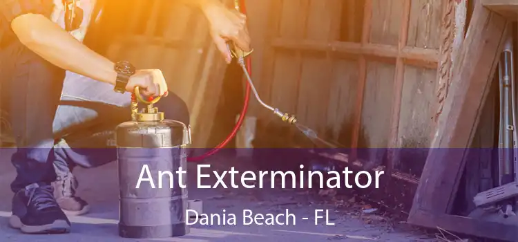 Ant Exterminator Dania Beach - FL