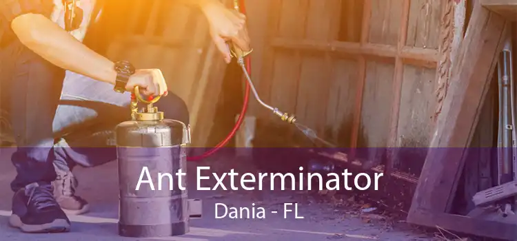 Ant Exterminator Dania - FL