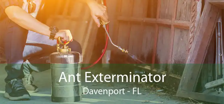 Ant Exterminator Davenport - FL