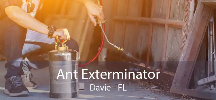 Ant Exterminator Davie - FL
