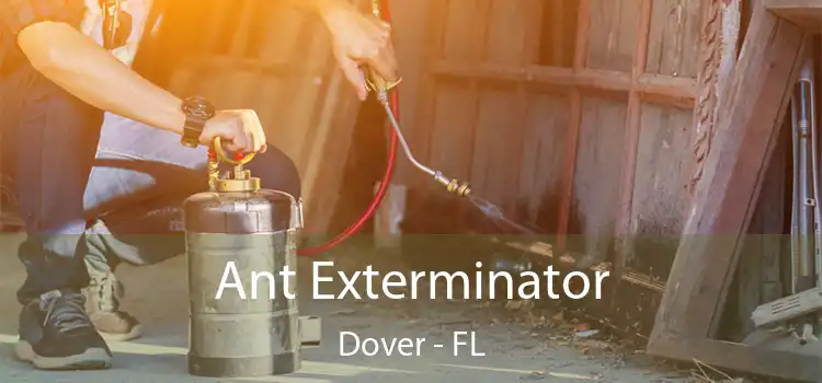 Ant Exterminator Dover - FL