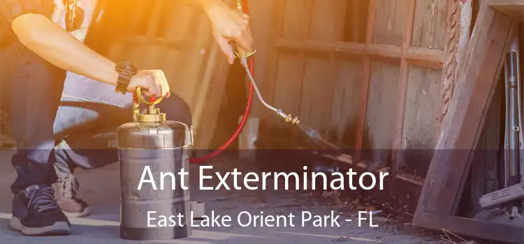 Ant Exterminator East Lake Orient Park - FL