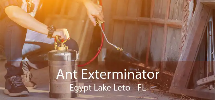 Ant Exterminator Egypt Lake Leto - FL
