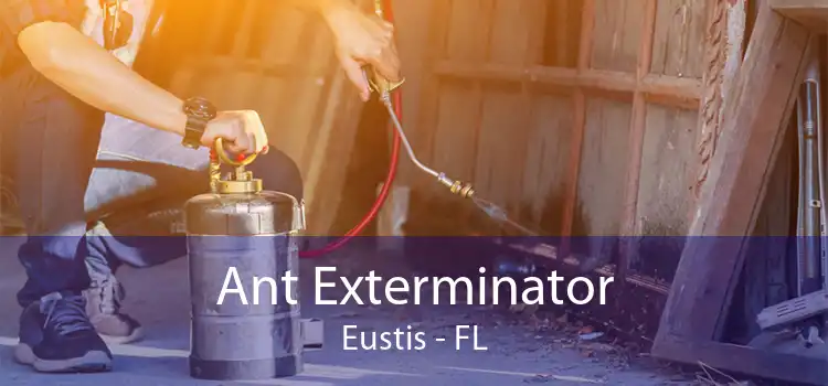 Ant Exterminator Eustis - FL