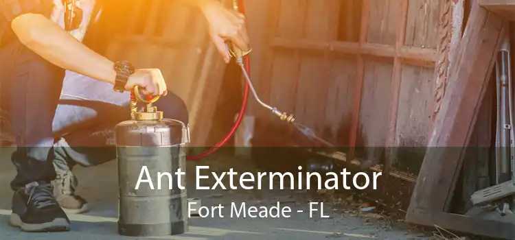 Ant Exterminator Fort Meade - FL