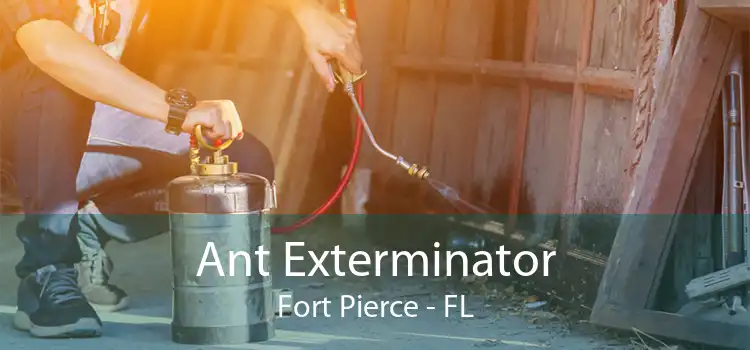 Ant Exterminator Fort Pierce - FL