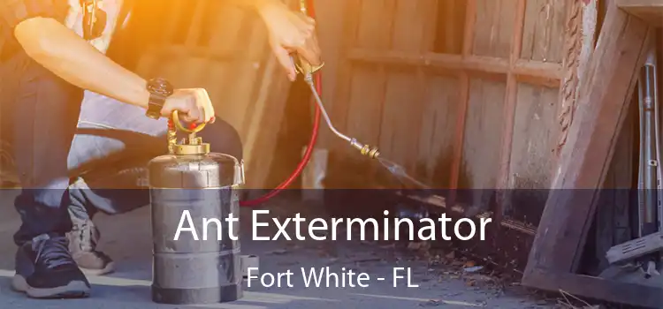 Ant Exterminator Fort White - FL