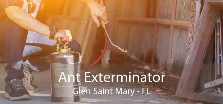 Ant Exterminator Glen Saint Mary - FL