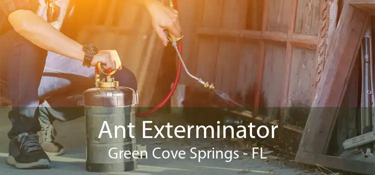 Ant Exterminator Green Cove Springs - FL