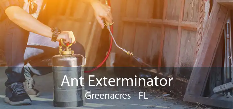 Ant Exterminator Greenacres - FL