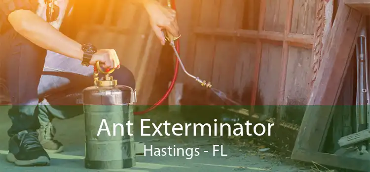 Ant Exterminator Hastings - FL
