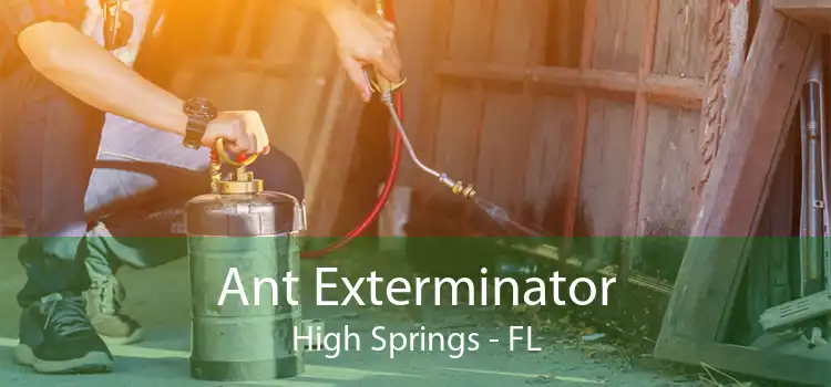 Ant Exterminator High Springs - FL