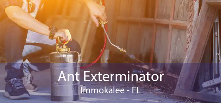 Ant Exterminator Immokalee - FL