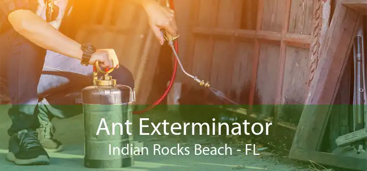 Ant Exterminator Indian Rocks Beach - FL
