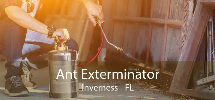 Ant Exterminator Inverness - FL