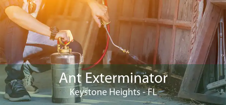 Ant Exterminator Keystone Heights - FL