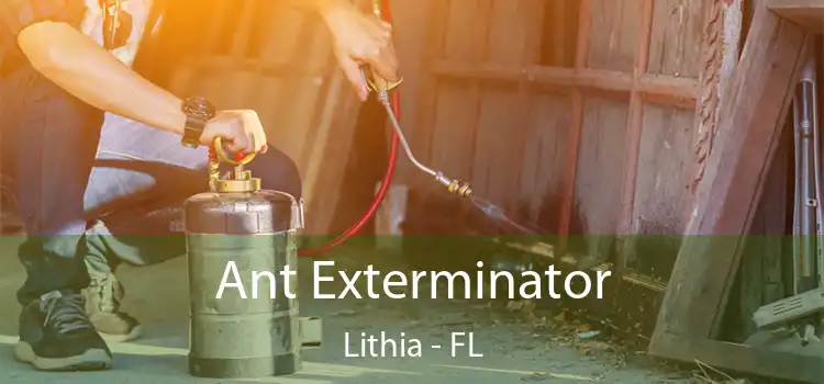 Ant Exterminator Lithia - FL