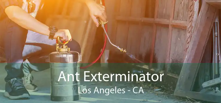Ant Exterminator Los Angeles - CA