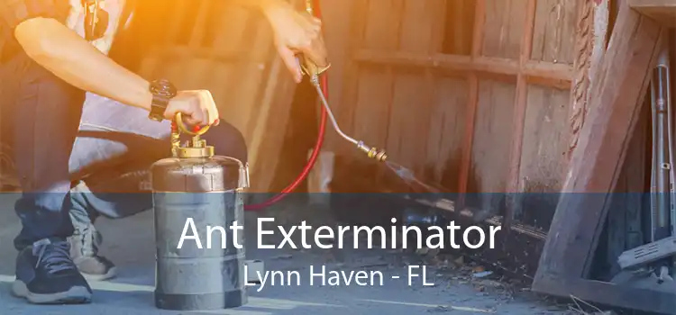 Ant Exterminator Lynn Haven - FL