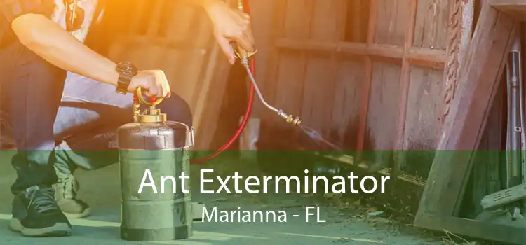 Ant Exterminator Marianna - FL