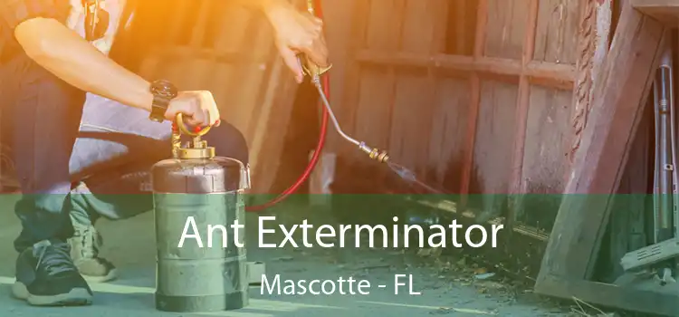 Ant Exterminator Mascotte - FL