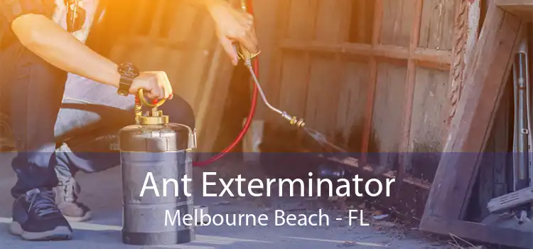Ant Exterminator Melbourne Beach - FL