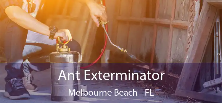 Ant Exterminator Melbourne Beach - FL