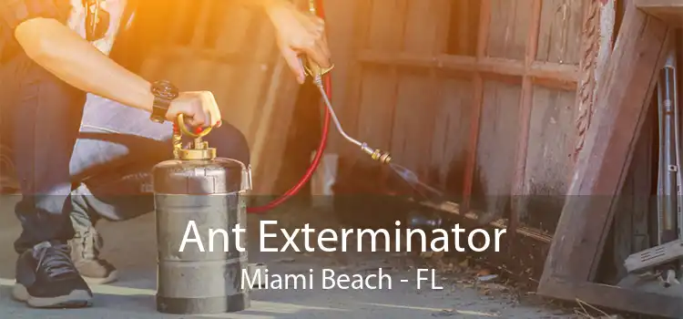 Ant Exterminator Miami Beach - FL