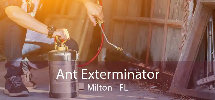 Ant Exterminator Milton - FL
