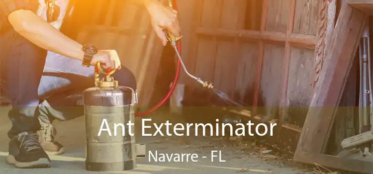 Ant Exterminator Navarre - FL