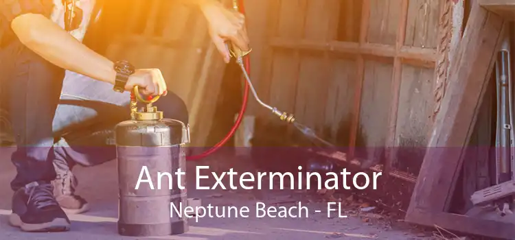 Ant Exterminator Neptune Beach - FL
