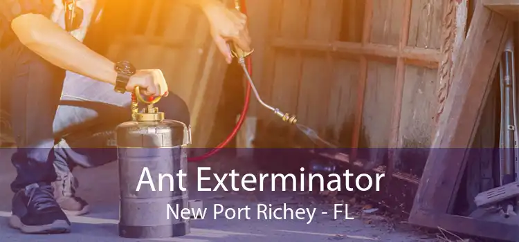 Ant Exterminator New Port Richey - FL