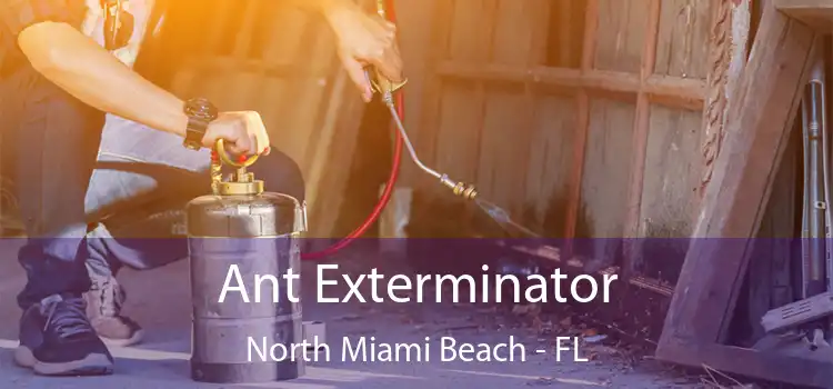 Ant Exterminator North Miami Beach - FL