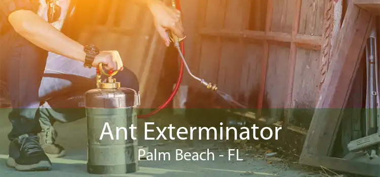Ant Exterminator Palm Beach - FL